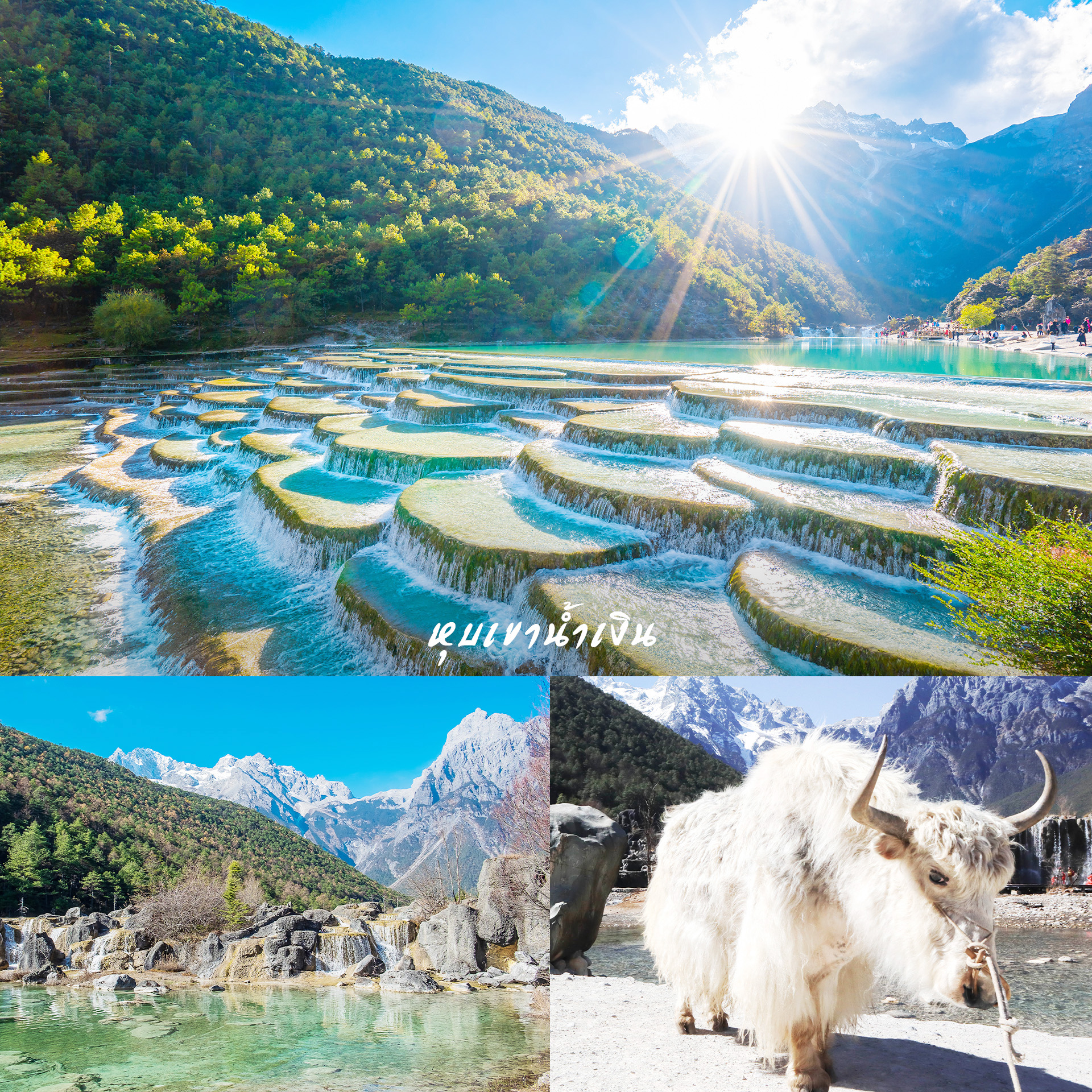 รูปภาพสถานที่ท่องเที่ยว 5
